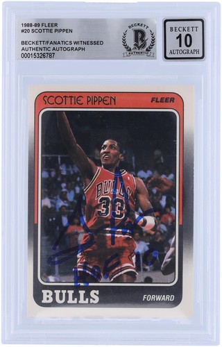 Scottie pippen bulls - scottie,